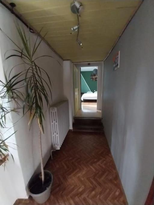 Maison En Pierres Pradinas Eksteriør billede