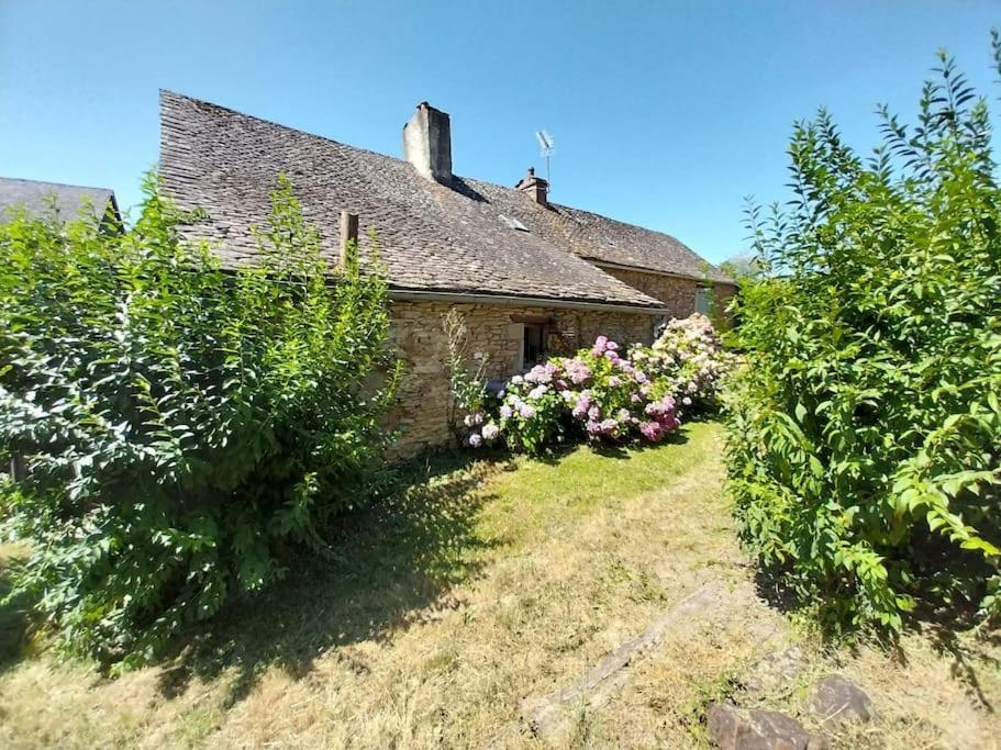 Maison En Pierres Pradinas Eksteriør billede